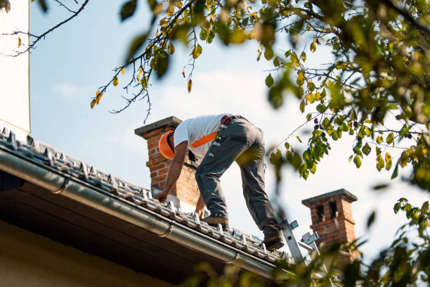 Best Cold Roofs  in Monroe, MI