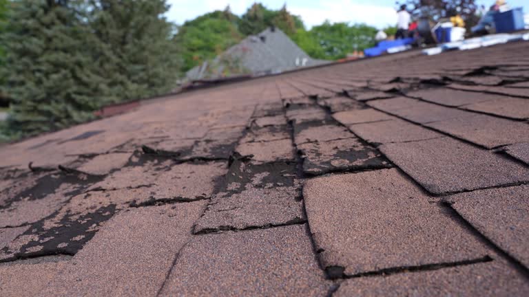 Best Asphalt Shingle Roofing  in Monroe, MI