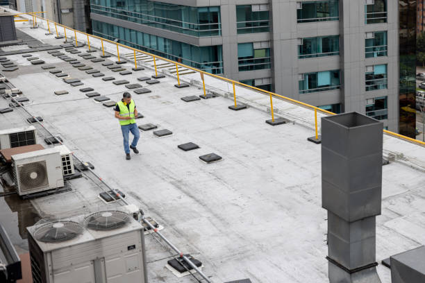 Best Emergency Roof Repair  in Monroe, MI