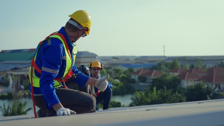 Best Skylight Installation and Repair  in Monroe, MI