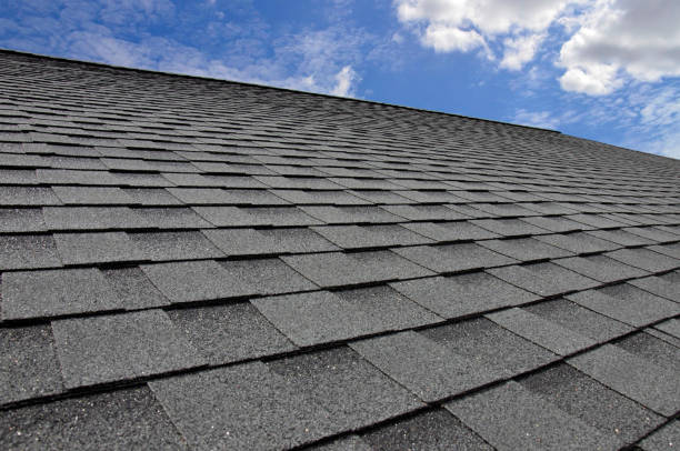 Best Roof Maintenance and Cleaning  in Monroe, MI